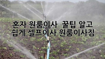 혼자 원룸이사 📦? 꿀팁 알고 💪 쉽게! #셀프이사 #원룸이사짐